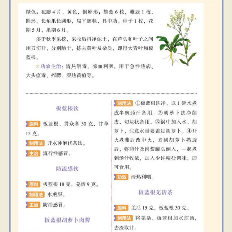 คู่มือฉบับย่อการบำรุงร่างกายด้ - Herbal Holistic Wellness บทวิจารณ์และราคา
