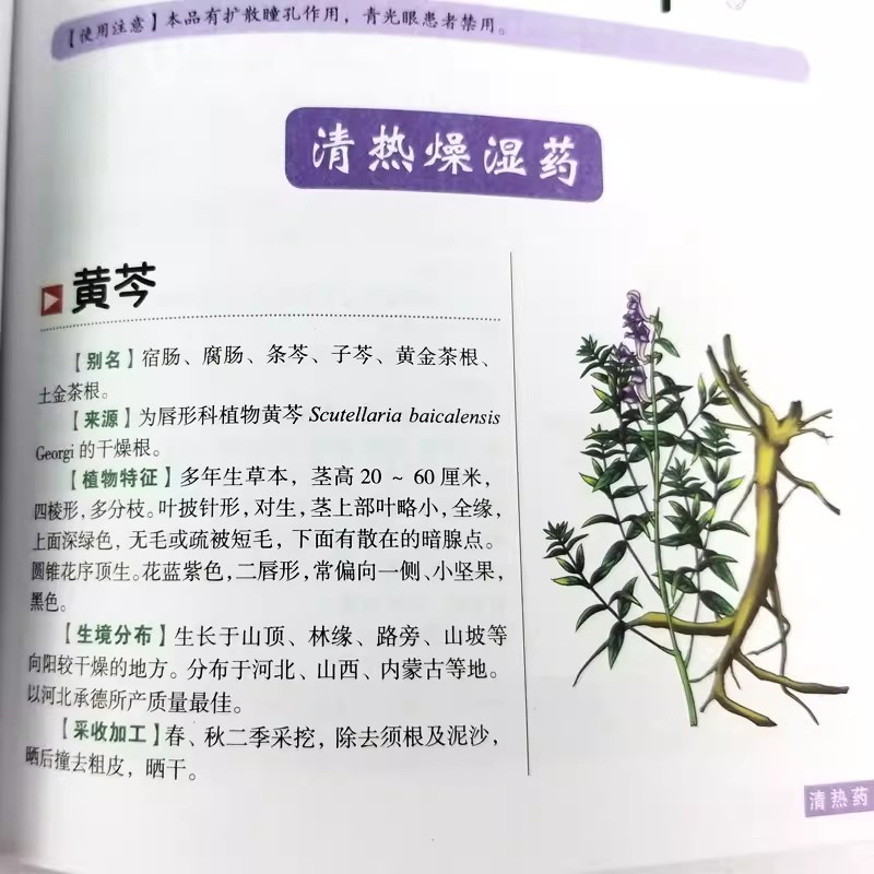 หนังสือคู่มือสมุนไพรโบราณเพื่อ - Herbal Holistic Wellness บทวิจารณ์และราคา
